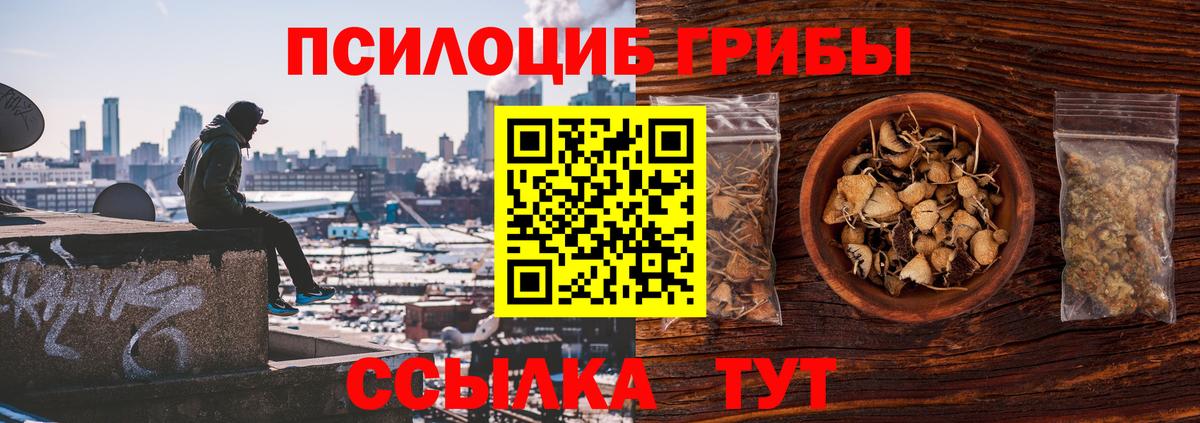 Галлюциногенные грибы MAGIC MUSHROOMS  Вход с VPN  Симферополь  Галлюциногенные грибы мицелий 